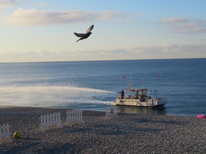 Nizza, l'imbarcazione che lava le spiagge Nizza, l'imbarcazione che lava le spiagge