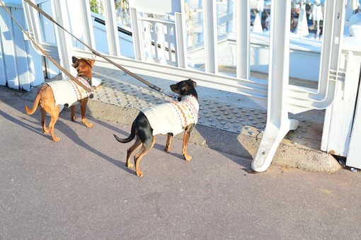 Istantanee di Nizza, fotografie di Silvia Assin Istantanee di Nizza, fotografie di Silvia Assin