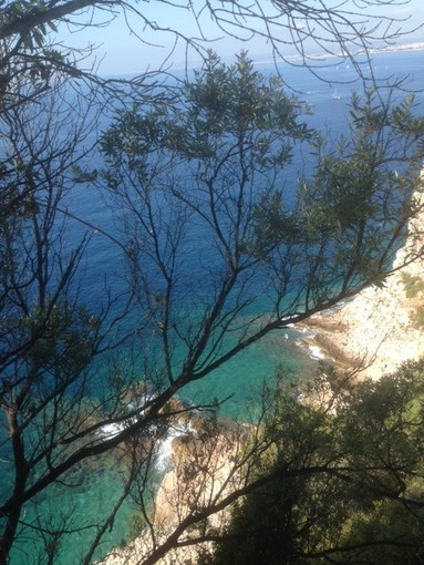 "Lo scorcio" di Franco Enrico Paracchini