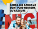 Nice Magazine, una finestra sulla città Nice Magazine, una finestra sulla città