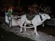Le IMMAGINI di Franco Magnetto del Natale 2012 a Mentone