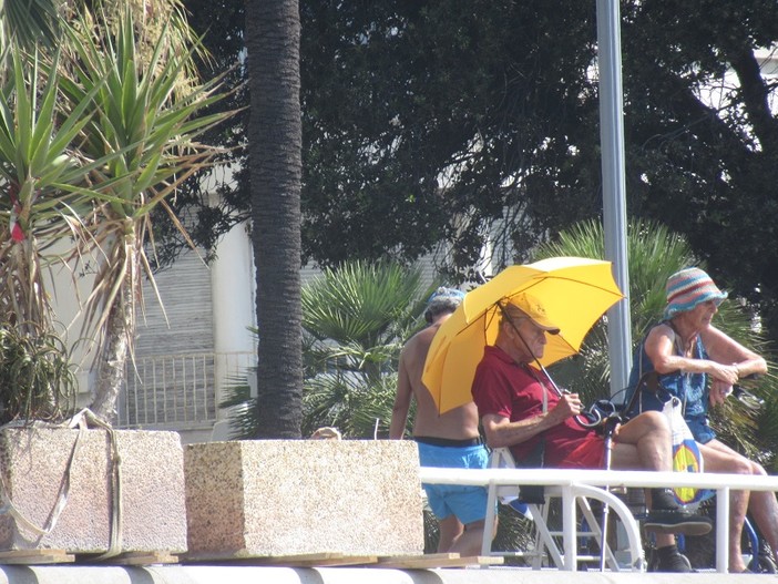 Sud della Francia nella morsa del caldo: temperature record e rischio incendi alle stelle Sud della Francia nella morsa del caldo: temperature record e rischio incendi alle stelle