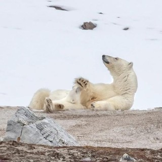 Olivier Anrigo, mostra a Nizza