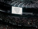 Nice-OL, partita sospesa per errore: cori contro Daesh scambiati per insulti Nice-OL, partita sospesa per errore: cori contro Daesh scambiati per insulti