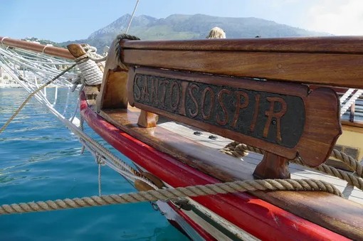 Osservazione in barca a vela - Alla scoperta dei cetacei del Mediterraneo - Menton