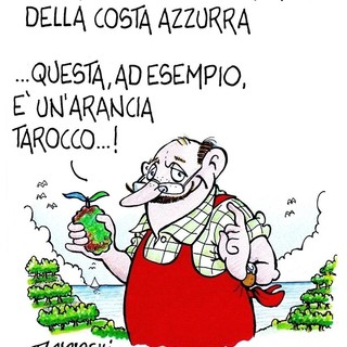 Quando una vignetta vale come mille editoriali