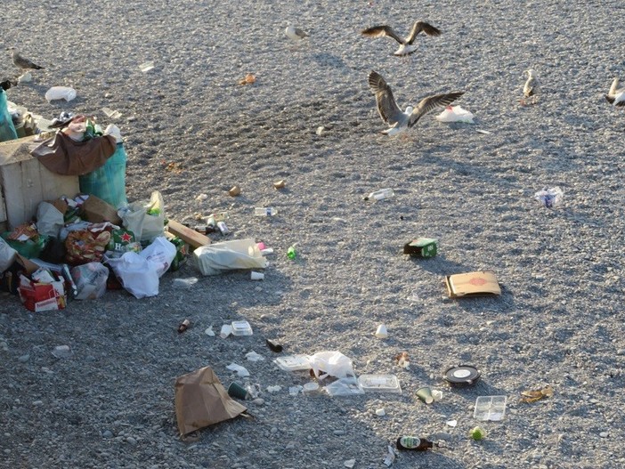 "Odo augelli far festa". Fotografia di Simona Notarianni "Odo augelli far festa". Fotografia di Simona Notarianni