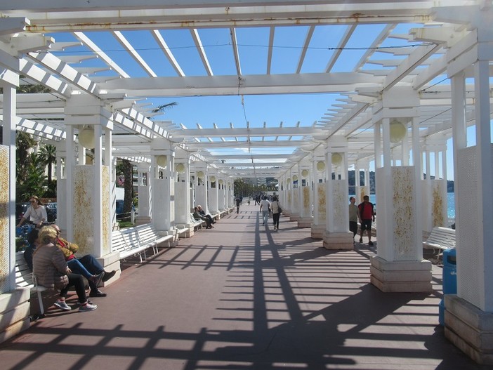 "Pergola" di Carla Antonucci