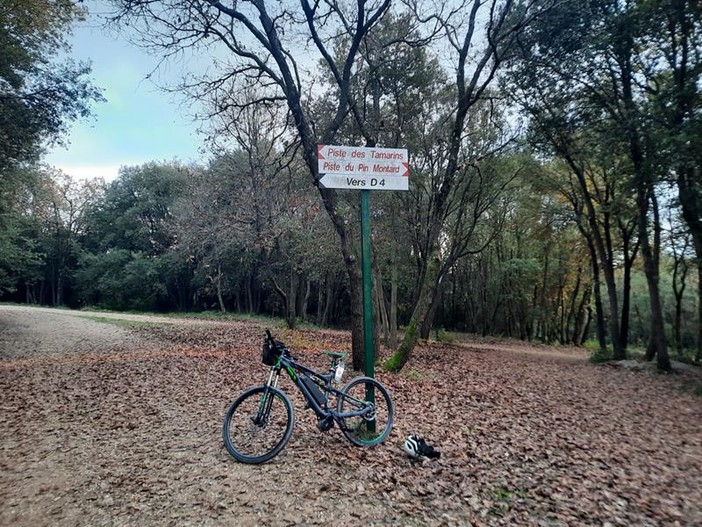 Piste de Tamarins in inverno, fotografie di Danilo Radaelli Piste de Tamarins in inverno, fotografie di Danilo Radaelli