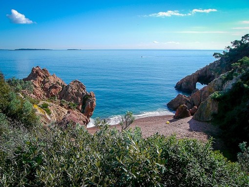 Parc Naturel Départemental de la Pointe de l’Aiguille Parc Naturel Départemental de la Pointe de l’Aiguille