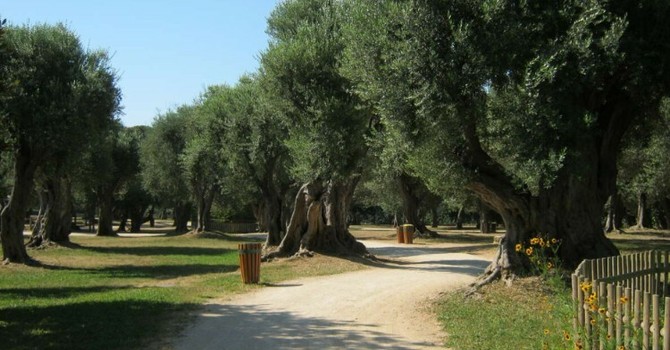Parco Cap Martin Parco Cap Martin
