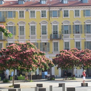 Place Garibaldi fiorita