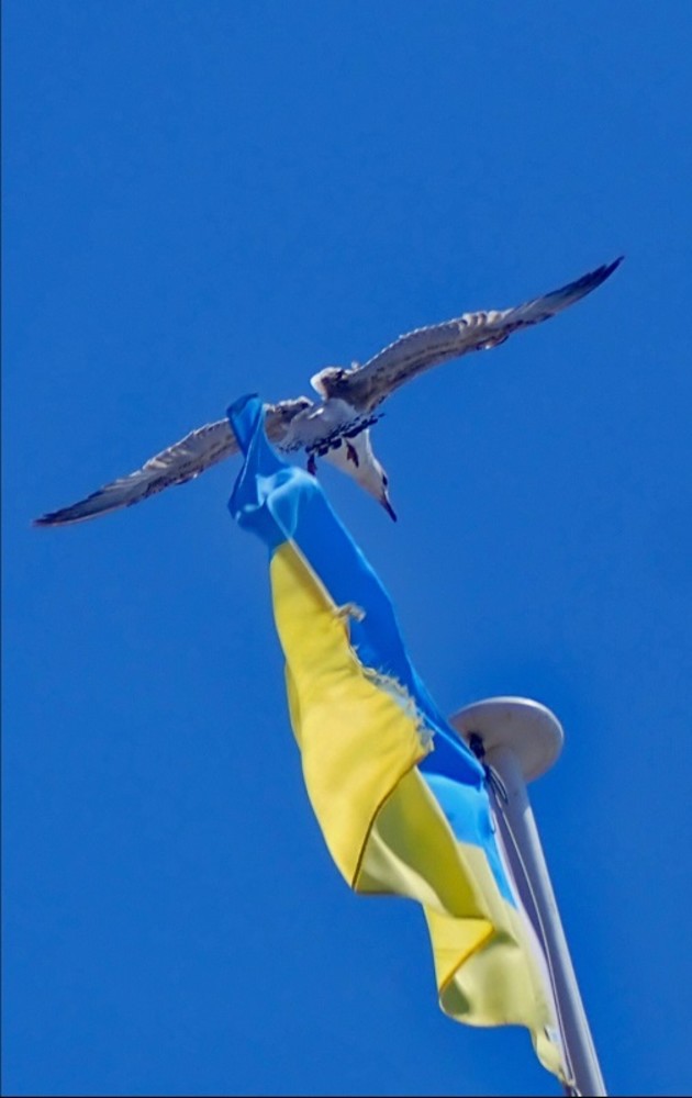 "Portabandiera", fotografia di Jean Pascal Galeotti