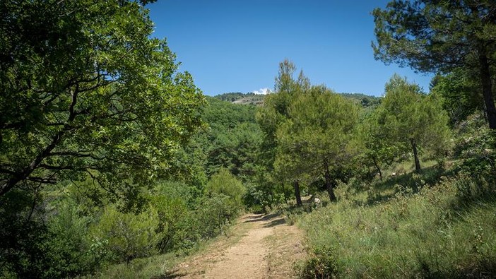 Parc naturel départemental de Roquevignon Parc naturel départemental de Roquevignon