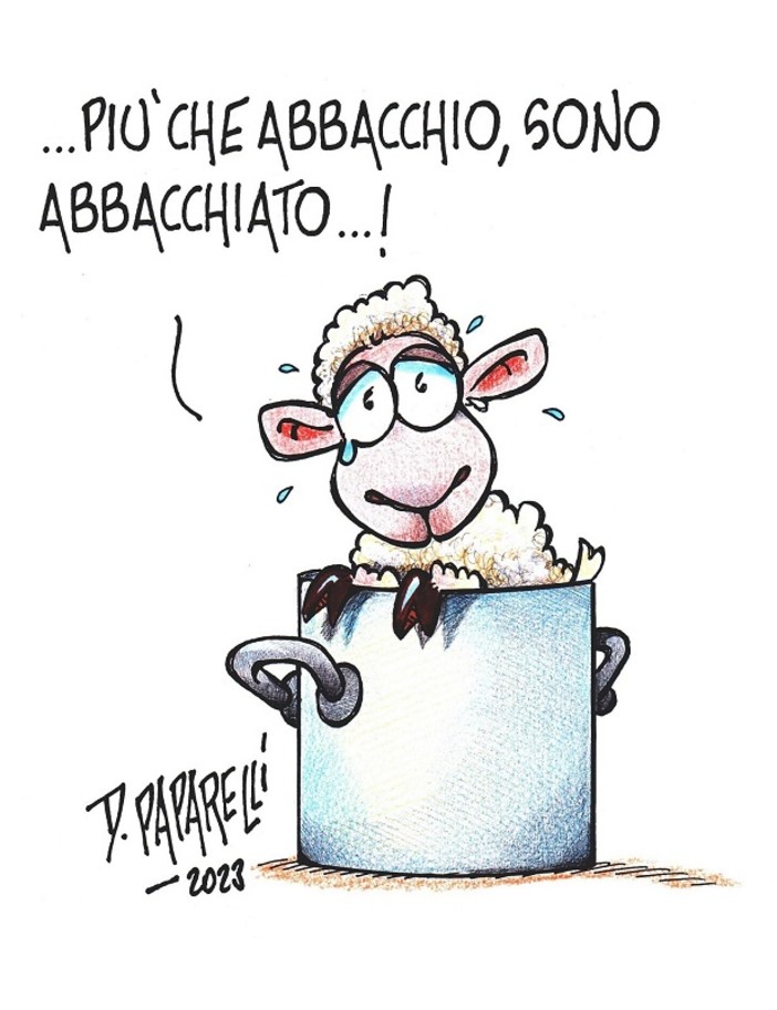 Quando una vignetta vale come mille editoriali Quando una vignetta vale come mille editoriali