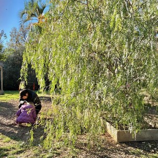 Parc Carole de Rumanie a Nizza. Foto di Silvia Assin