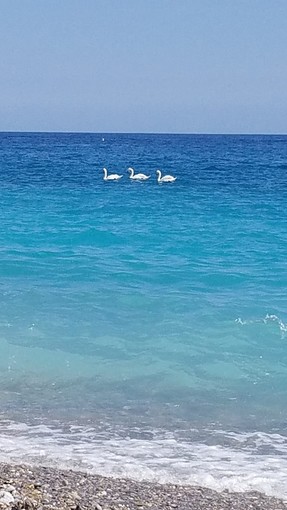 La passeggiata, fotografia di Jean Pascal Galeotti La passeggiata, fotografia di Jean Pascal Galeotti