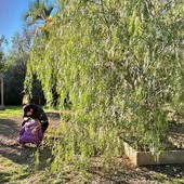 Parc Carole de Rumanie a Nizza. Foto di Silvia Assin Parc Carole de Rumanie a Nizza. Foto di Silvia Assin