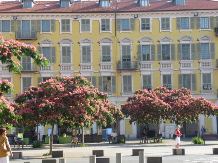 Place Garibaldi fiorita Place Garibaldi fiorita