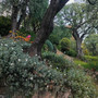 Parc Princesse Antoinette