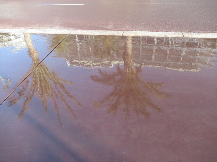 Nizza: quando la Promenade des Anglais diventa un lungo specchio