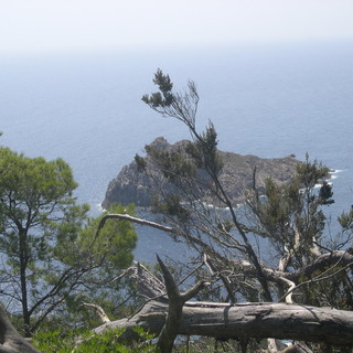 Domenica 10 giugno escursione al Parco Nazionale di Port Cros