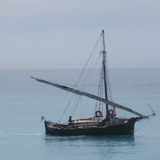 "Pace" di Aurore Damiano