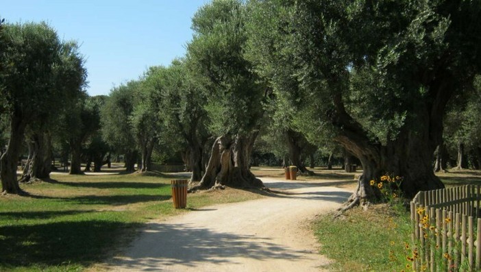 Parco Cap Martin