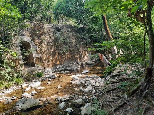 Parc Naturel Départemental de la Brague, fotografie3 di Danilo Radaelli