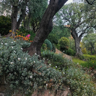 Parc Princesse Antoinette