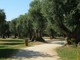 Parco Cap Martin