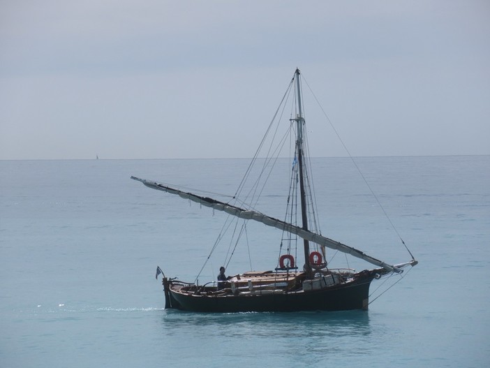 "Pace" di Aurore Damiano "Pace" di Aurore Damiano