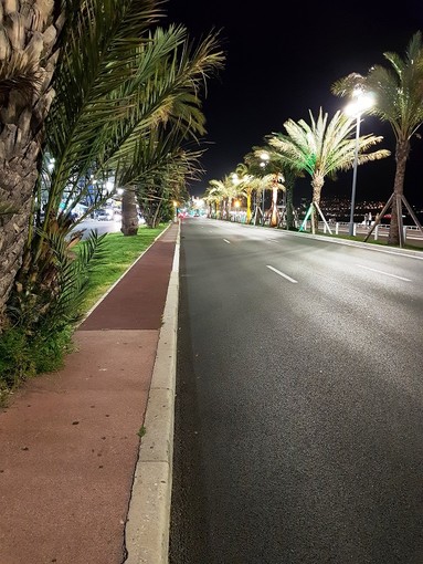 "L'oasi" di Patrizia Savarese "L'oasi" di Patrizia Savarese