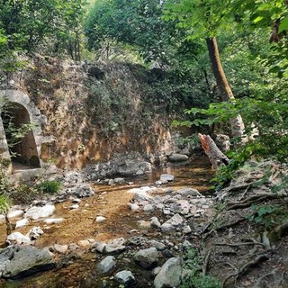 Parc Naturel Départemental de la Brague, fotografie3 di Danilo Radaelli