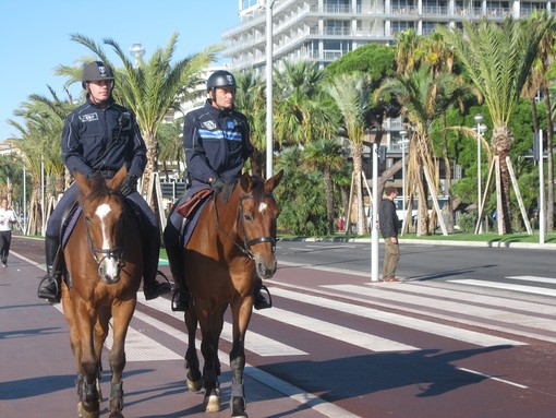 Nizza, la Brigade équestre della Polizia Municipale