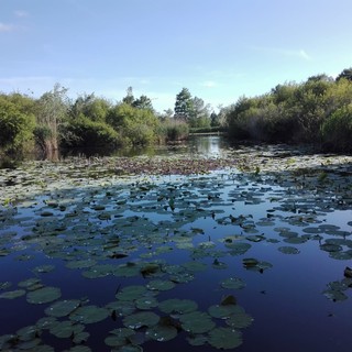 Parc de la Valmasque, foto di Danilo Radaelli