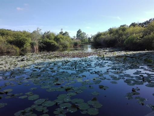 Parc de la Valmasque, foto di Danilo Radaelli Parc de la Valmasque, foto di Danilo Radaelli