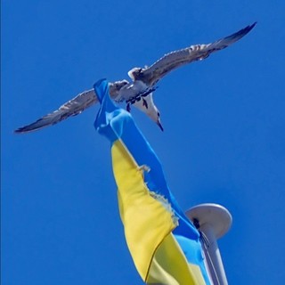 "Portabandiera", fotografia di Jean Pascal Galeotti