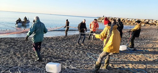 Pescatori di &quot;poutina&quot; a Cros de Cagnes (Twitter)
