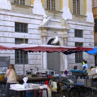 Place Saint François nel Vieux Nice