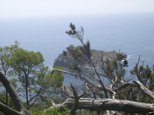 Domenica 10 giugno escursione al Parco Nazionale di Port Cros Domenica 10 giugno escursione al Parco Nazionale di Port Cros