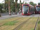 La pelouse della Ligne 2 tra Carras e Lenval La pelouse della Ligne 2 tra Carras e Lenval