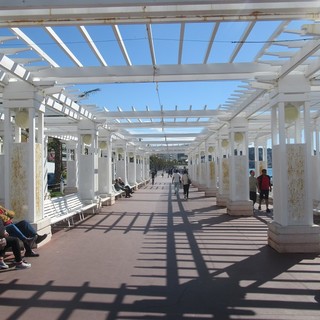 "Pergola" di Carla Antonucci