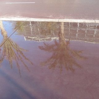 Nizza: quando la Promenade des Anglais diventa un lungo specchio