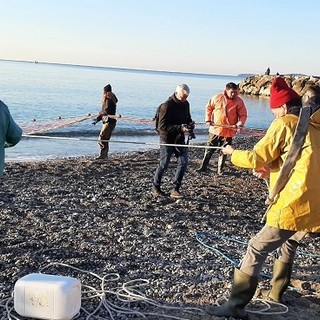 Pescatori di "poutina" a Cros de Cagnes (Twitter)