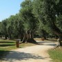 Parco Cap Martin