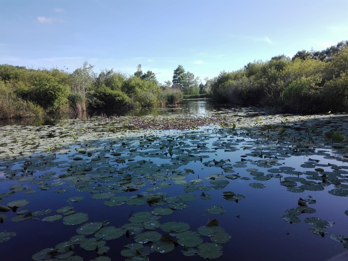 Parc de la Valmasque, foto di Danilo Radaelli Parc de la Valmasque, foto di Danilo Radaelli