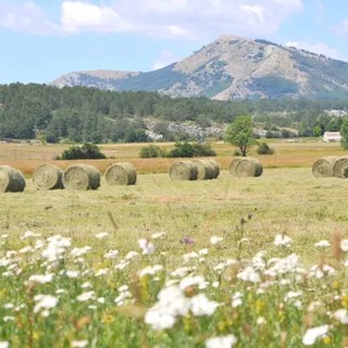 Parc Prealpes d'Azur