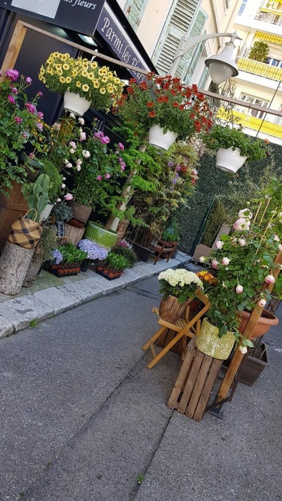 "Angoli fioriti" di Patrizia Savarese