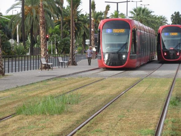 La pelouse della Ligne 2 tra Carras e Lenval La pelouse della Ligne 2 tra Carras e Lenval